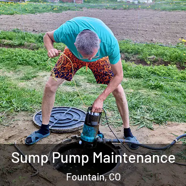  Sump Pump Maintenance Fountain, CO