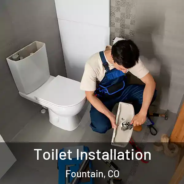 Toilet Installation Fountain, CO