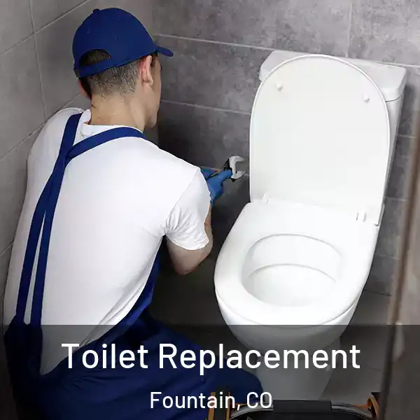  Toilet Replacement Fountain, CO